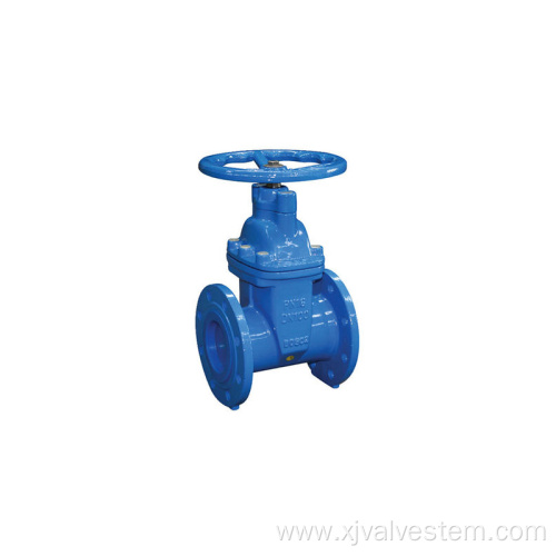 Corrosion resistant stainless steel gate valve